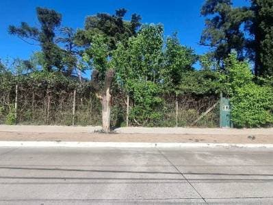 Lote 5000 m² sobre Avenida en Hurlingham – Ideal Depósito, Corralón o Emprendimiento - Principal