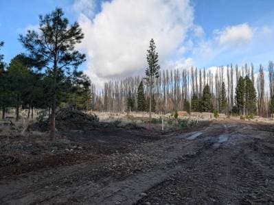 Lote en venta Dina Huapi - 4