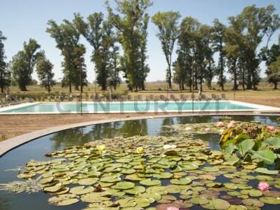 VENTA Lote N° 291 de 1000 m² | Barrio Isla, Tres Pinos, General Rodríguez – ACEPTA PERMUTA - 2