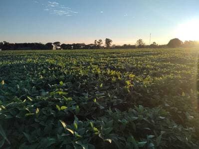 Venta Campo en Díaz Santa Fe - Principal
