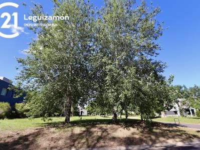 VENTA LOTE EN LA RESERVA CARDALES, CAMPANA - 2