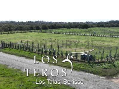 Terreno en venta Los Talas - Berisso - 3