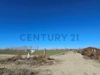 FINCA EN VENTA | 2 HECTÁREAS | TUPUNGATO, MENDOZA - 5