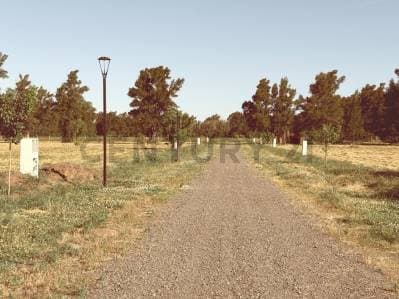 Lotes de 900 a 1500 mts en Los Pinares, Arana , Av. 637 e/ 27 y 31 - Principal