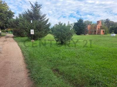 Terreno en Venta en Yei Pora, Tortuguitas - 3