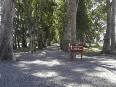 VENTA - LOTE EN CAMPO DAROMY (SAN VICENTE) - 5