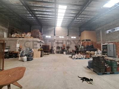 VENTA GALPON PASO DEL REY AMPLIO LOTE - 5