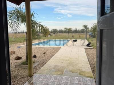 VENTA CHACRA DE 5 HA EN CAÑUELAS , CON VIVIENDA, QUINCHO Y PISCINA - 4