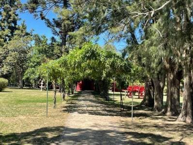 Lotes en venta en ruta 2, Club de Campo El Mirador - 4