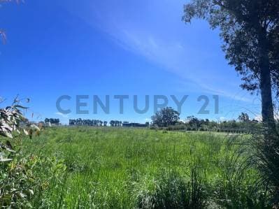 LOTE EN VENTA LA CAÑADA I - CITY BELL, LA PLATA - 5