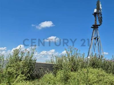 Campo ganadero de 90 hectáreas en Recalde, Olavarría - 2