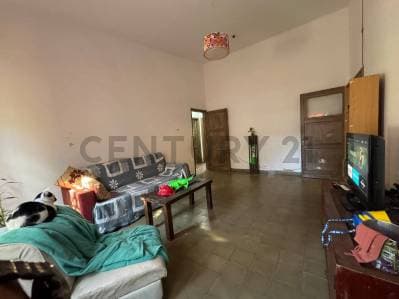 Casa de 3 Dormitorios en Barrio Residencial Olivos – Amplio Patio y Terreno de 370 m² - 4