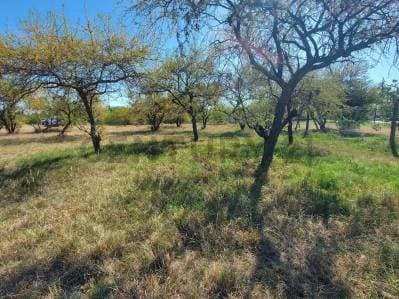 Terreno en Venta - 962 m2 - Villa California, San José del Rincón - Principal