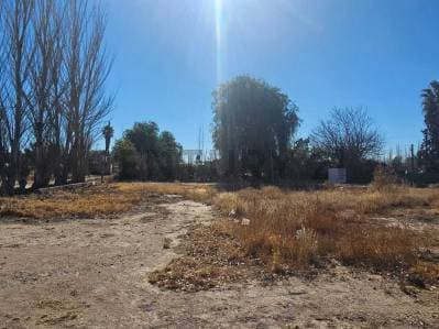 OPORTUNIDAD LOTE EN VENTA en SAN MARTIN Mendoza - 5