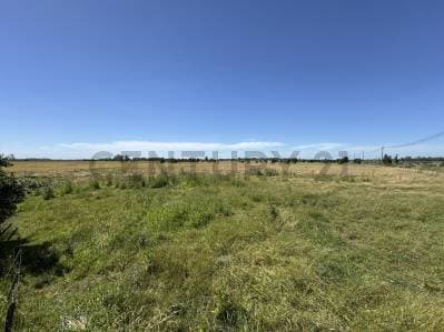 Alquiler Campo 5 hectareas Mar del Plata