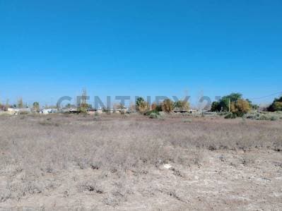 VENTA TERRENO, JOCOLI VIEJO, LAVALLE, MENDOZA - 4