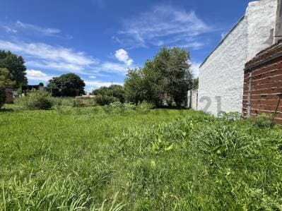TERRENO EN VILLA ELISA 10X33 EN CALLE 17 ENTRE 49 Y 50 - 4