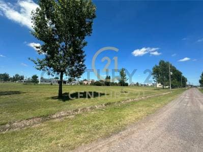 Lote en venta - Principal