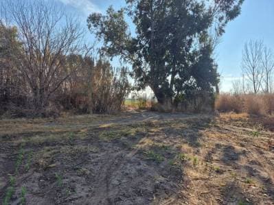 Venta de Finca en Lavalle, Tres de Mayo, sobre Ruta 36 entre Calle Rama 5 y Rama 6 - 2