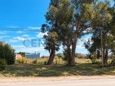 Venta lote sobre Avenida Pedersen - Principal