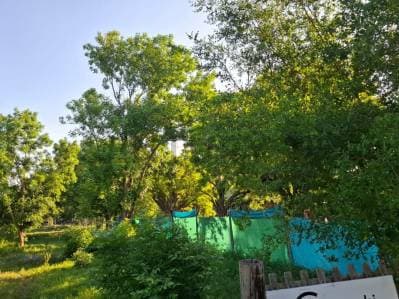 Lote en venta en City Bell - 3
