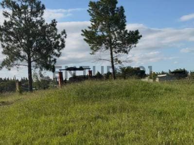 VENTA LOTE 1200 MT COSTA AZUL. ANISACATE ANISACATE - 2