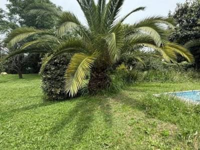 Lote 1200 M2 - 3