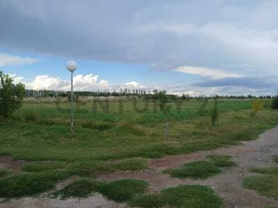 VENTA FINCA DE 16 HA, EN RUTA PCIAL 165, SAN RAFAEL, MENDOZA - 5
