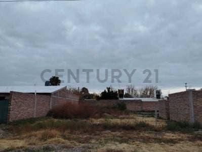 LOTE EN VENTA, BARRIO ALTO DEL ESTE, SAN MARTIN, MENDOZA - 2