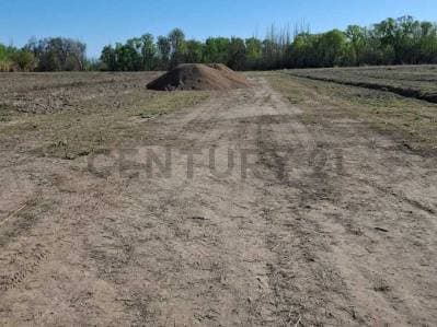 Lote en venta Colonia Las Rosas - 3
