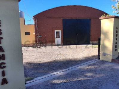 FINCA DE 31 HA CON CAÑON Y MALLA ANTIGRANIZO EN SAN MARTIN, MENDOZA - Principal