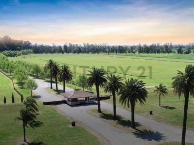 TERRENO EN VENTA CLUB DE CAMPO TECHNOPOLO - 2