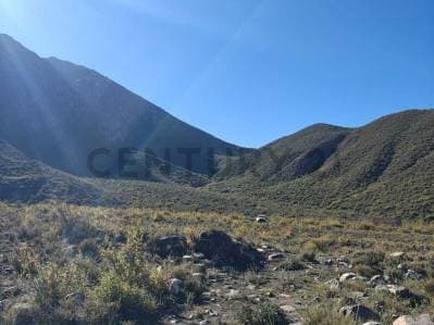 VENTA LOTE 2,6 HECTAREAS – CAMINO A VALLECITOS, POTRERILLOS - 5