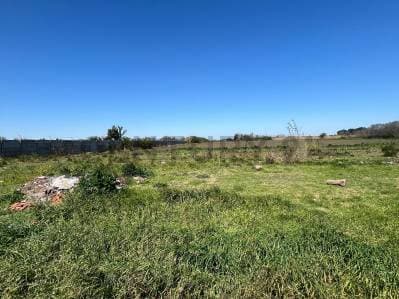 VENTA - PEREZ - 3 HECTAREAS - Ubicación Estratégica y Gran Potencial - Principal