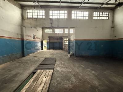 Calle 74 e/ 1 y 115 | Galpon de 300 mts cubiertos - 3