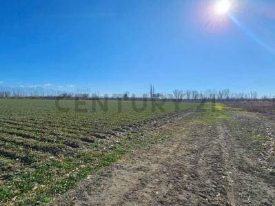 FINCA EN VENTA | 2 HECTÁREAS | TUPUNGATO, MENDOZA - 4