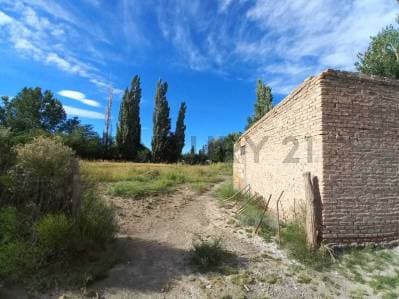 VENTA - LOTE 2000 M² - BAJADA DEL AGRIO - PCIA. DE NEUQUÉN - 4