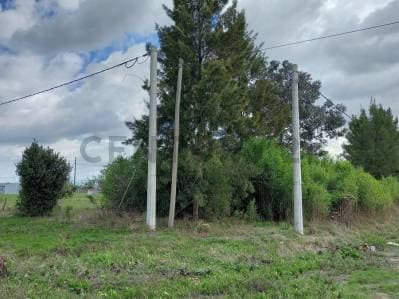 EXCELENTE TERRENO VENTA CORONEL BRANSEN - 2