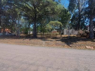490 entre 137 y 138, Terreno en Venta, Joaquin Gorina.- - 3