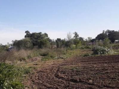 VENTA LOTE PONTEVEDRA 7500M2 - 3