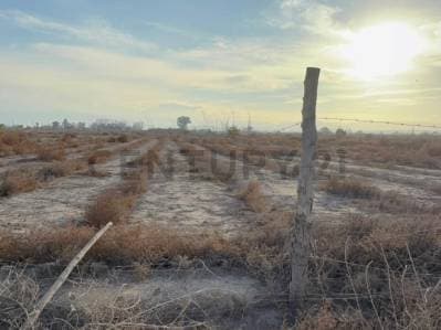 VENTA IMPORTANTE TERRENO DE 20MIL M2 EN ZONA FINCA LA BERTA - 3