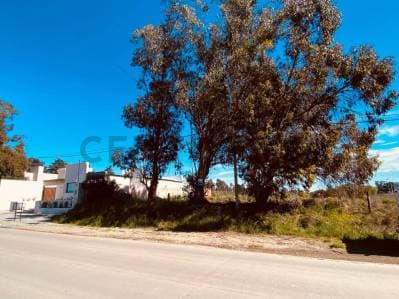 Venta lote sobre Avenida Pedersen - 5