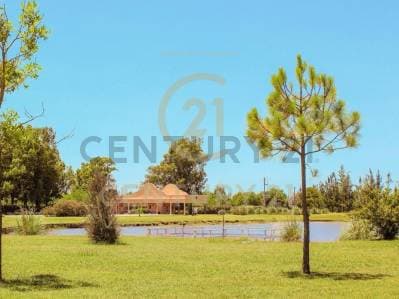 Lote en venta - Principal
