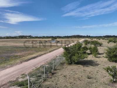 LOTE DE TERRENO EN LOS TALAS - 2