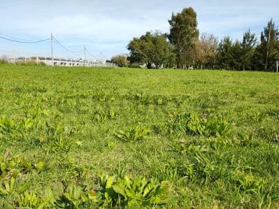 Lotes en Venta Cittabella, Don Carlos, Gorina - 4