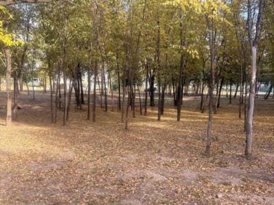 270 m² frente a plaza y pequeño lago| USD 62.500 - 2