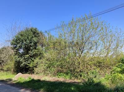 TERRENO / CAMPO 2,2 HECTAREAS EN VENTA. ARANA - 3