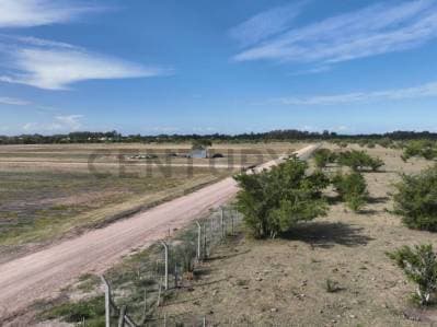Terreno en venta Los Talas - Berisso - 4