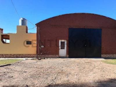 FINCA DE 31 HA CON CAÑON Y MALLA ANTIGRANIZO EN SAN MARTIN, MENDOZA - 2
