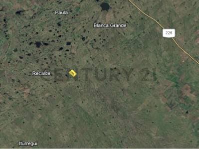 Campo ganadero de 90 hectáreas en Recalde, Olavarría - 5